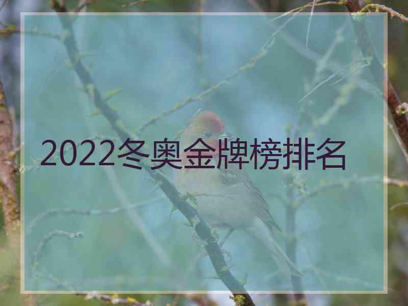 2022冬奥金牌榜排名