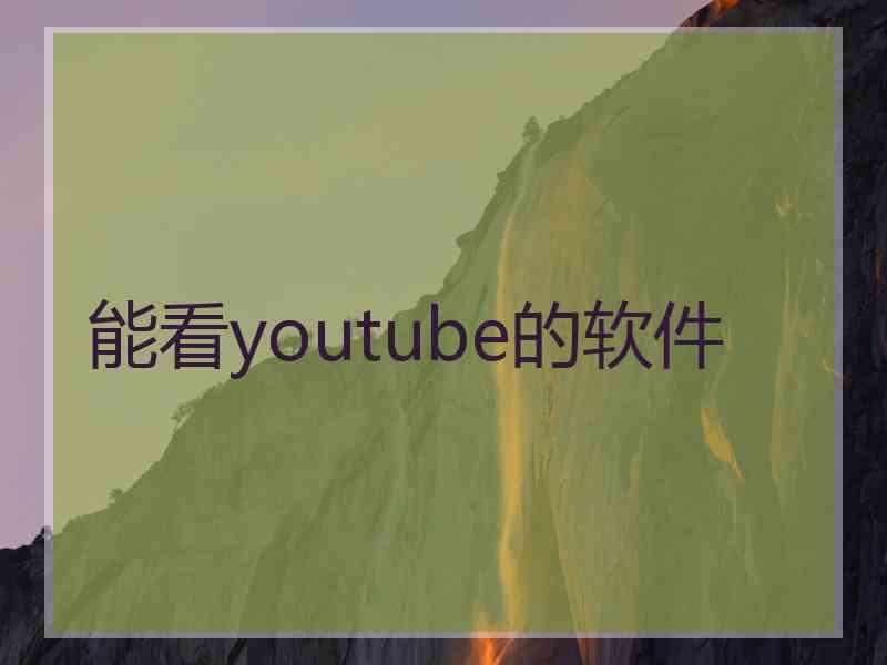 能看youtube的软件