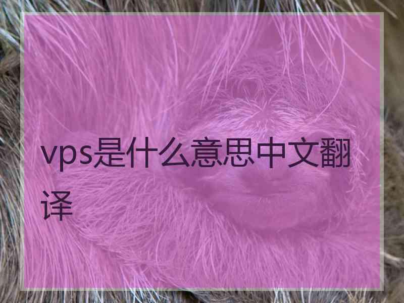 vps是什么意思中文翻译