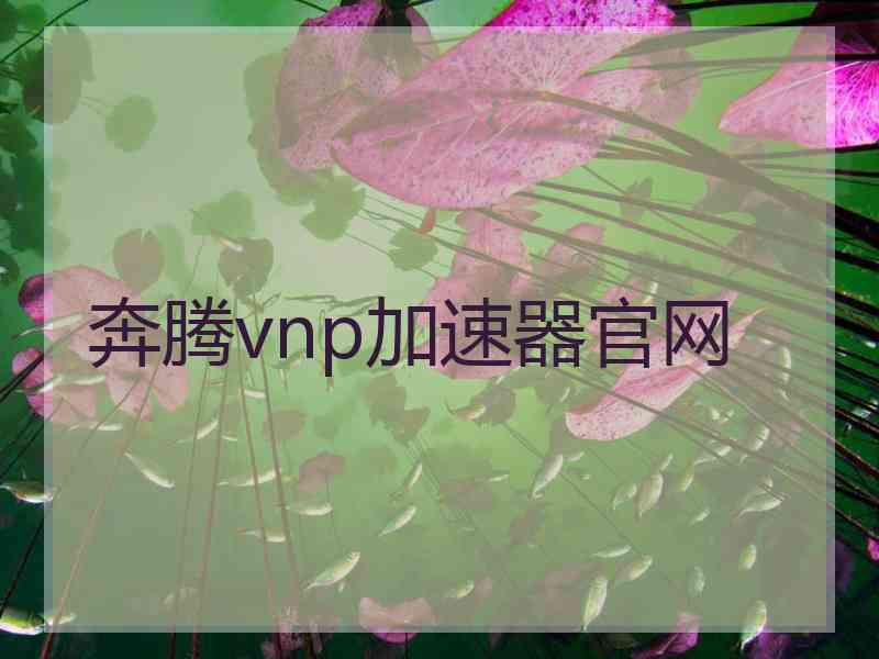 奔腾vnp加速器官网