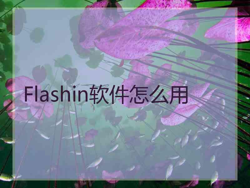 Flashin软件怎么用