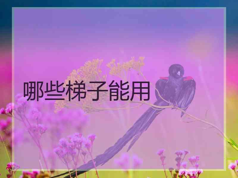 哪些梯子能用