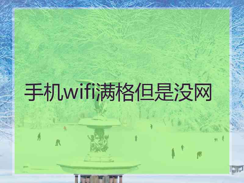 手机wifi满格但是没网