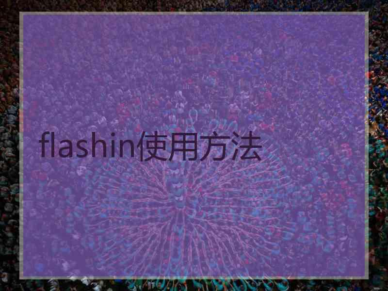 flashin使用方法