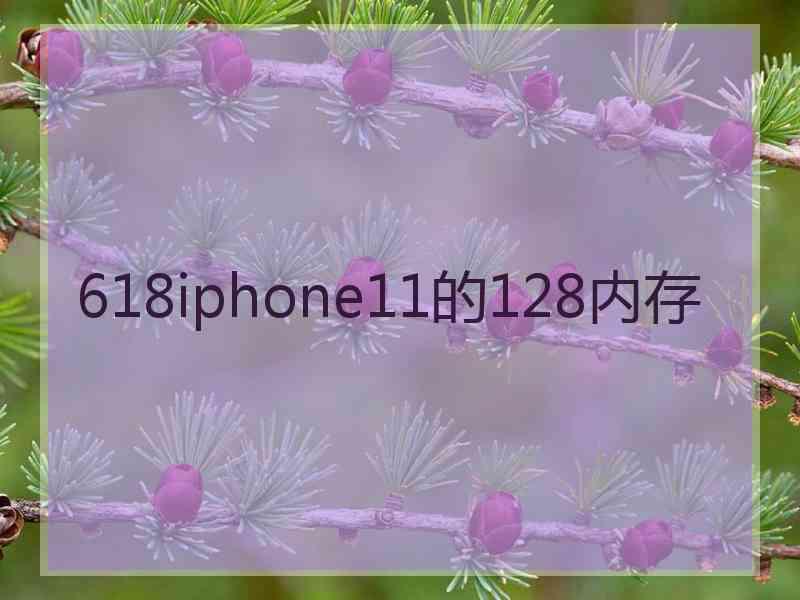 618iphone11的128内存