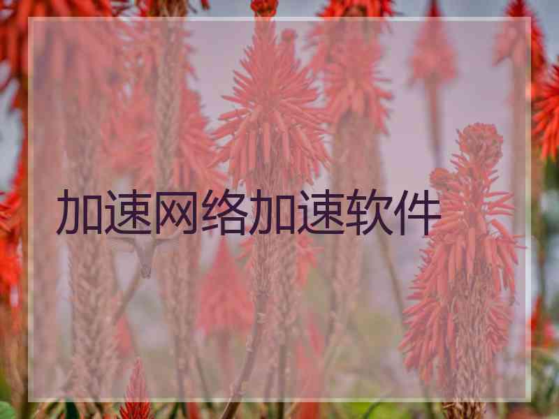 加速网络加速软件