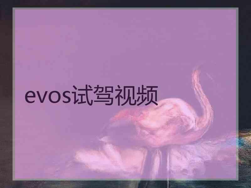 evos试驾视频