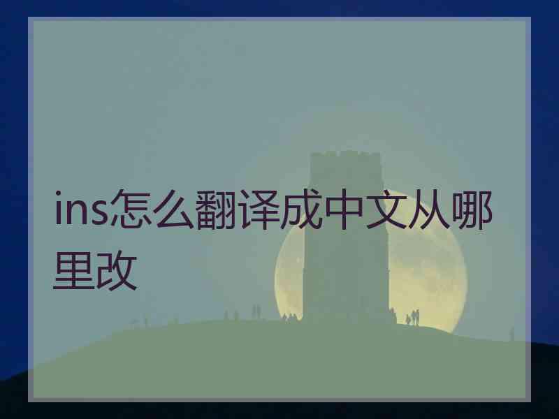 ins怎么翻译成中文从哪里改