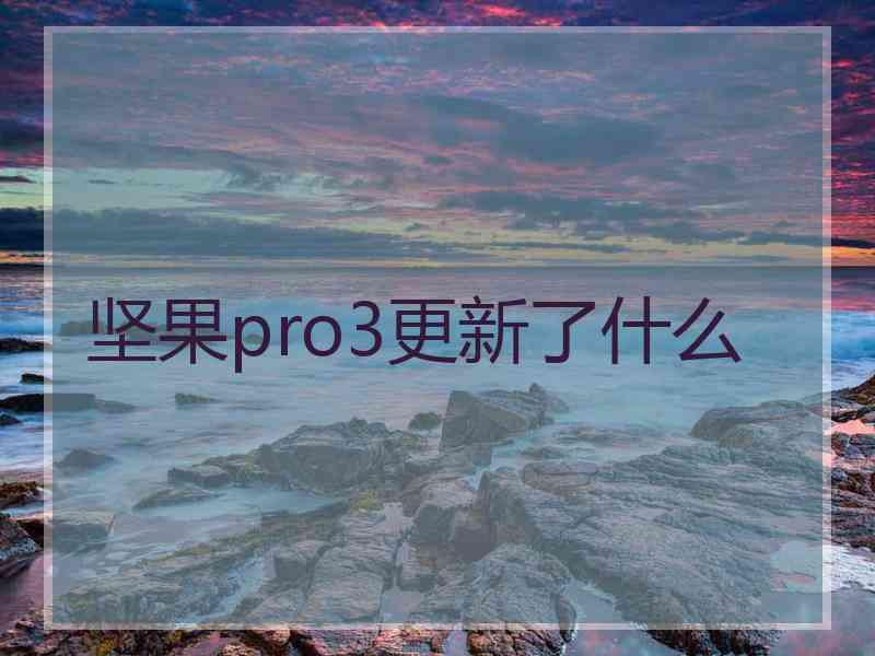 坚果pro3更新了什么