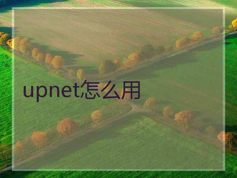 upnet怎么用