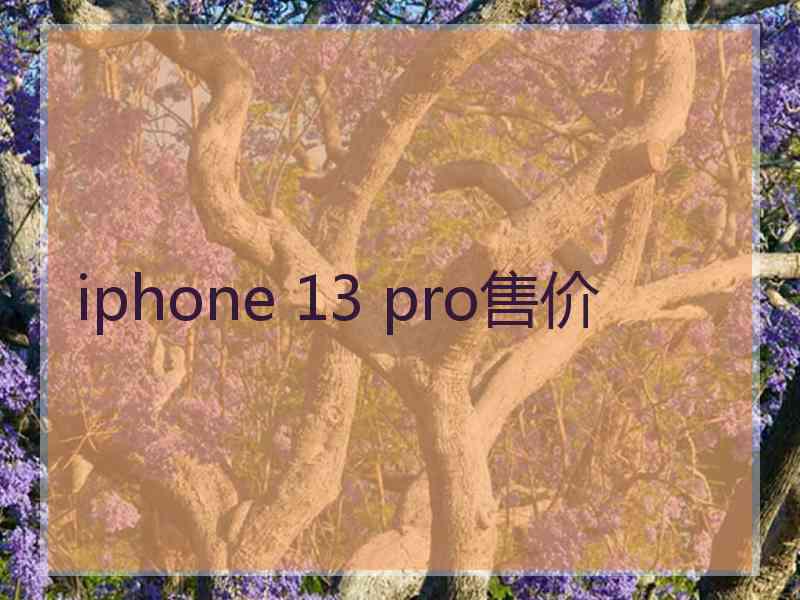 iphone 13 pro售价