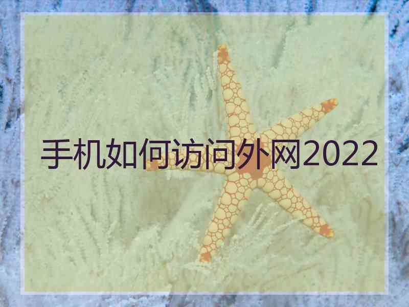 手机如何访问外网2022