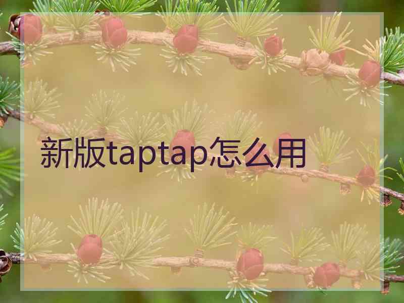 新版taptap怎么用