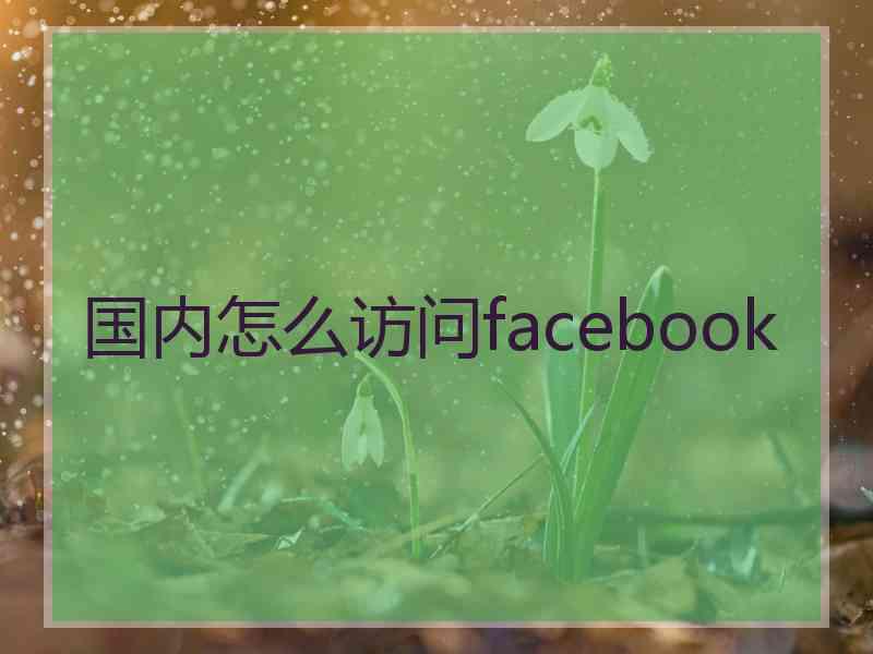 国内怎么访问facebook