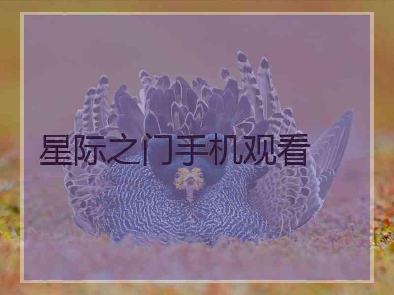 星际之门手机观看