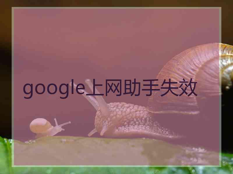 google上网助手失效