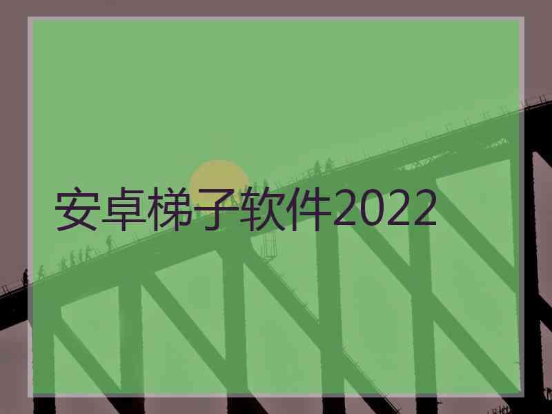 安卓梯子软件2022