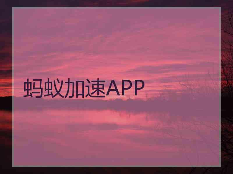 蚂蚁加速APP