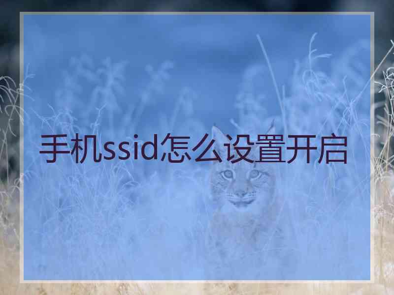 手机ssid怎么设置开启