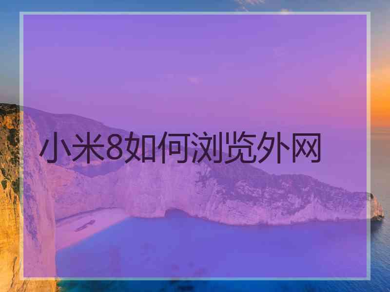 小米8如何浏览外网