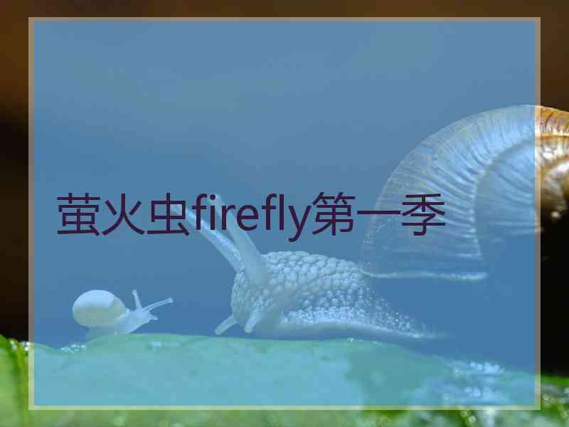 萤火虫firefly第一季