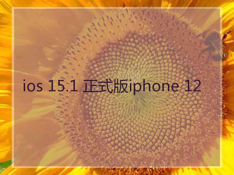 ios 15.1 正式版iphone 12