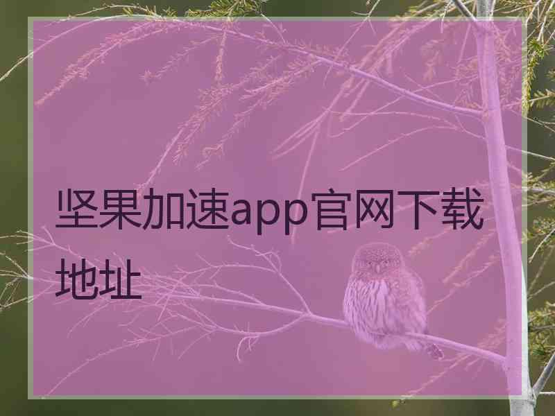 坚果加速app官网下载地址