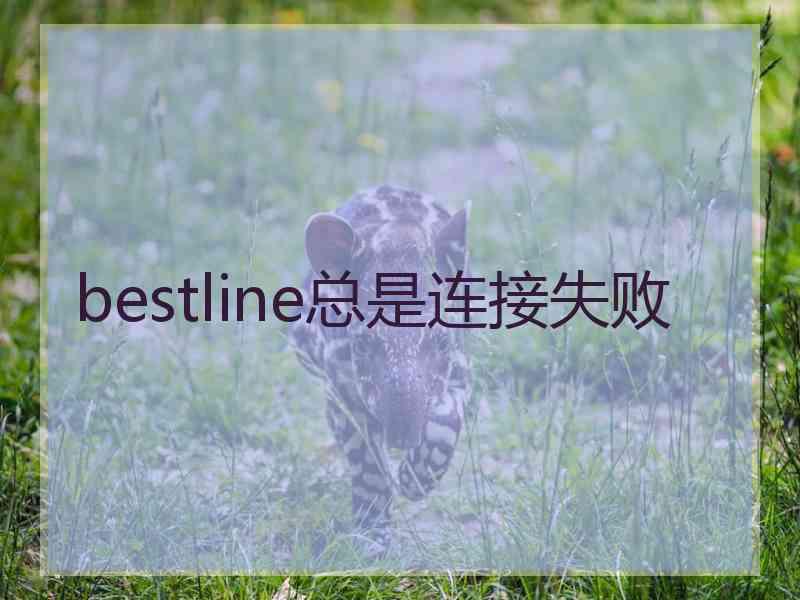 bestline总是连接失败