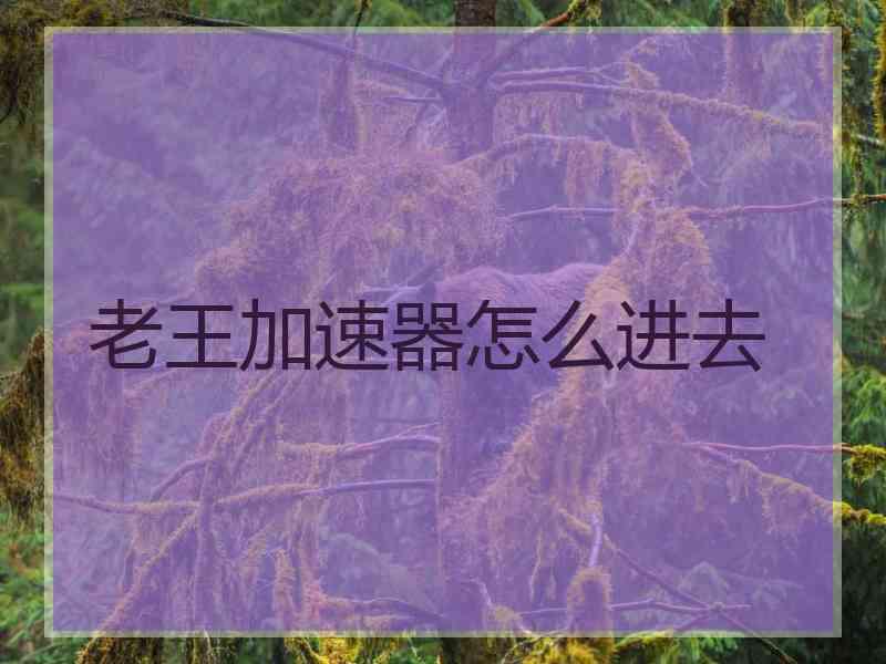 老王加速器怎么进去