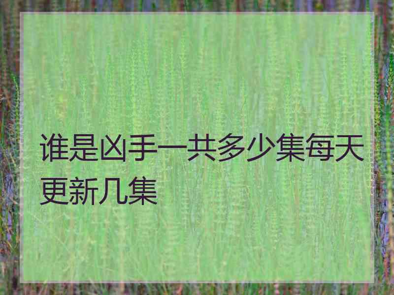 谁是凶手一共多少集每天更新几集