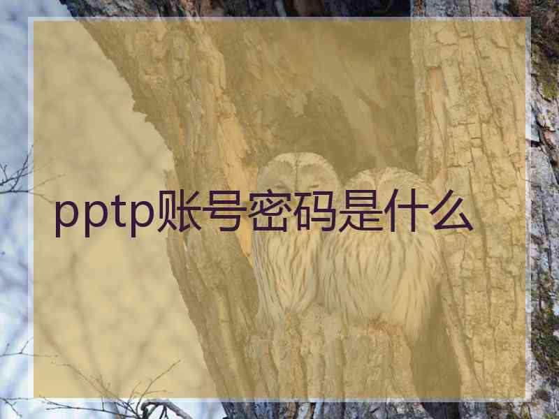 pptp账号密码是什么