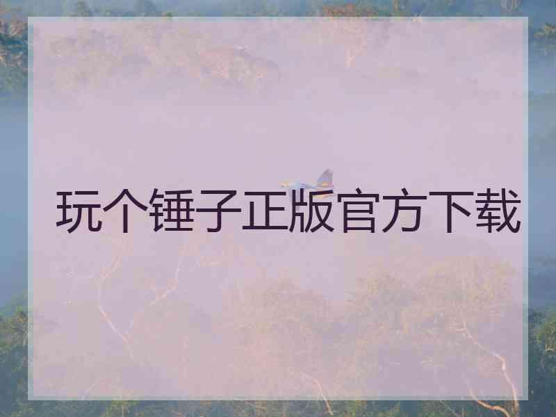 玩个锤子正版官方下载