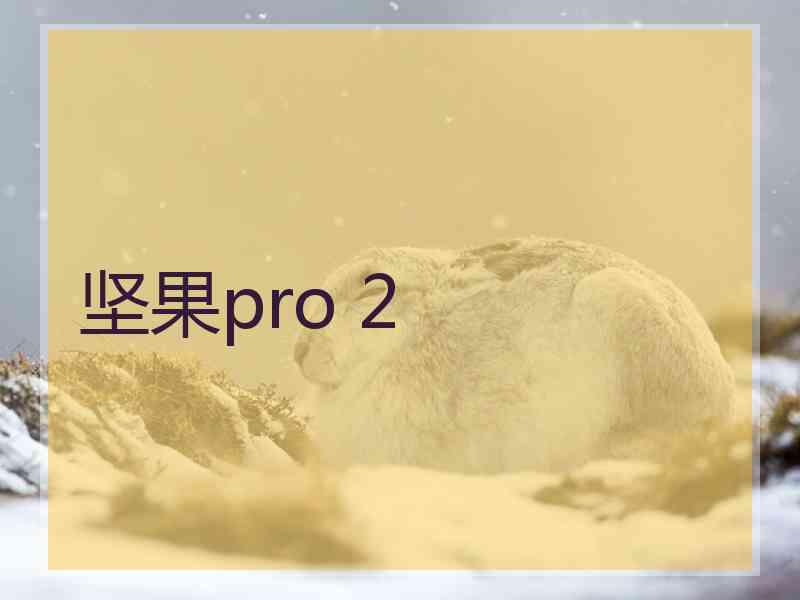 坚果pro 2