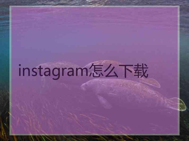 instagram怎么下载