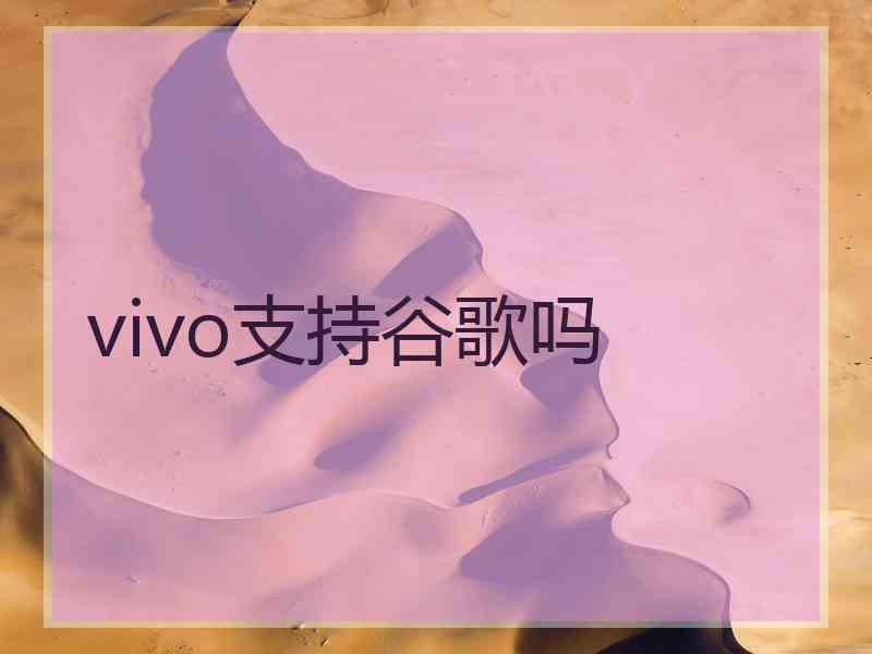 vivo支持谷歌吗