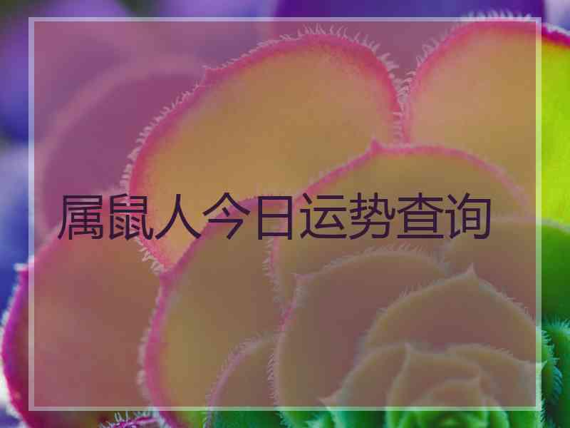 属鼠人今日运势查询