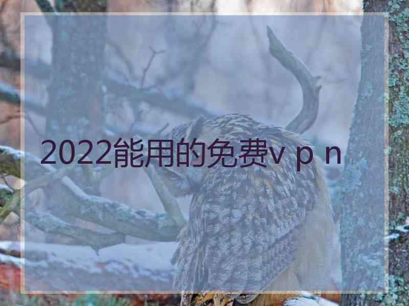 2022能用的免费v p n