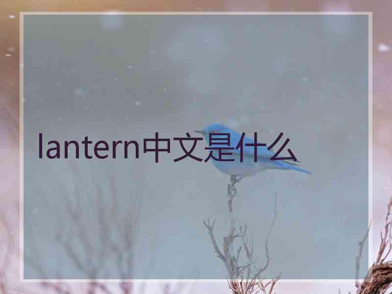 lantern中文是什么