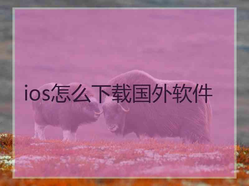 ios怎么下载国外软件