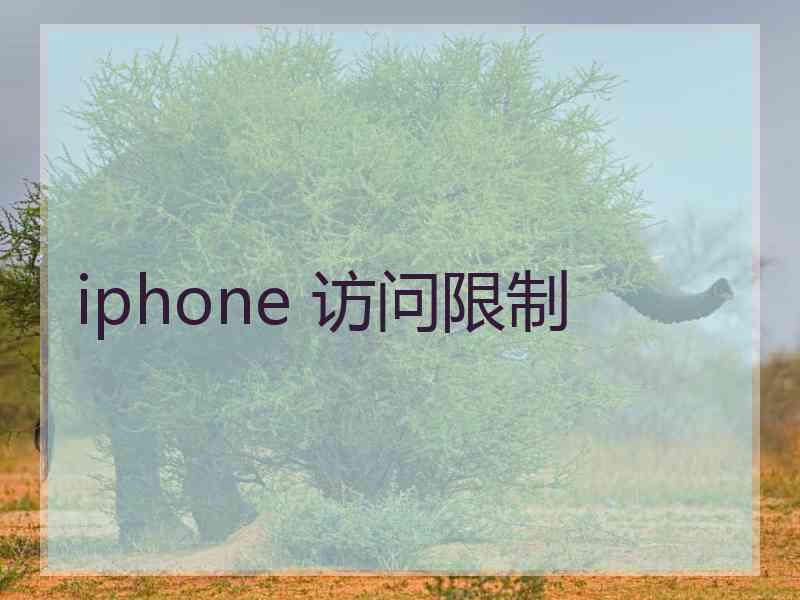 iphone 访问限制