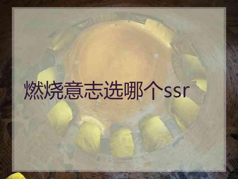 燃烧意志选哪个ssr