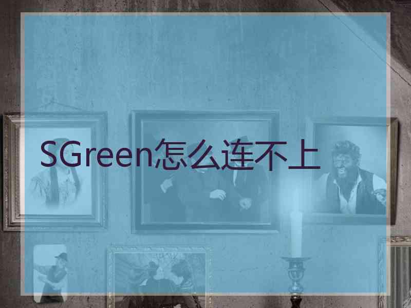 SGreen怎么连不上