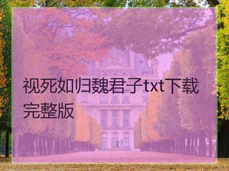 视死如归魏君子txt下载完整版