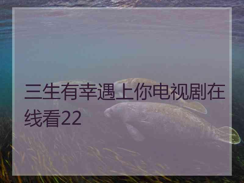 三生有幸遇上你电视剧在线看22