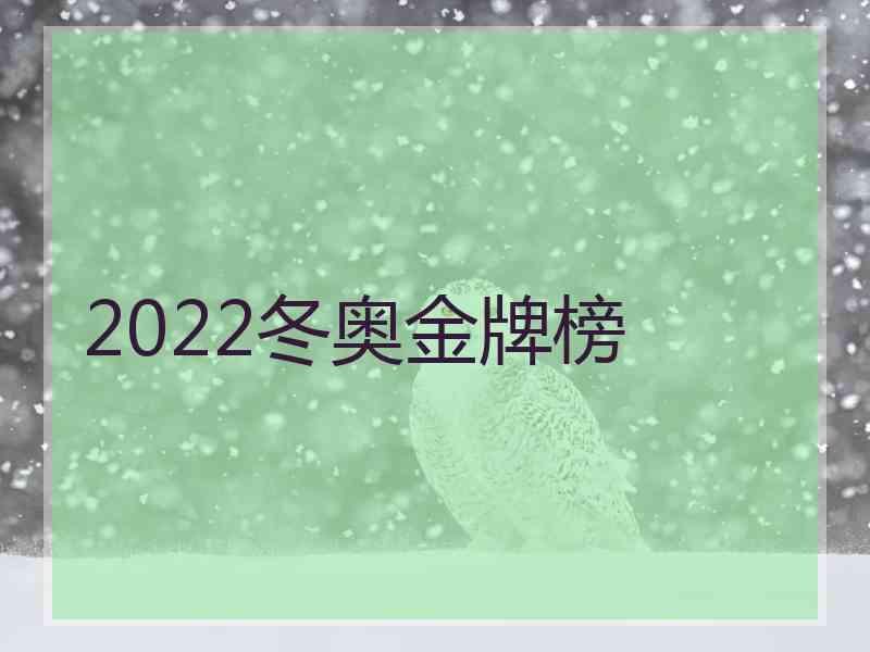 2022冬奥金牌榜