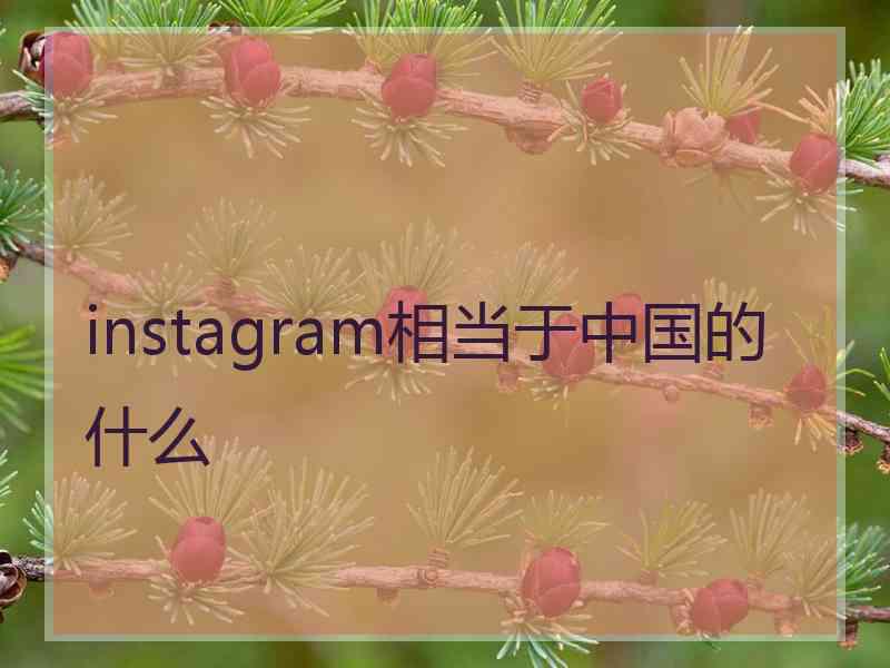 instagram相当于中国的什么