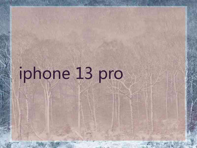 iphone 13 pro