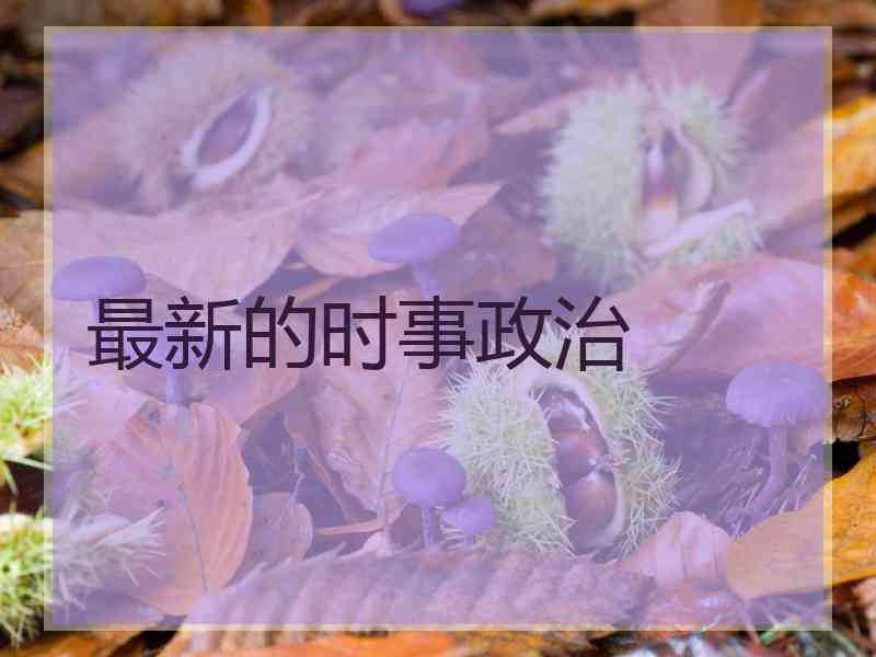 最新的时事政治