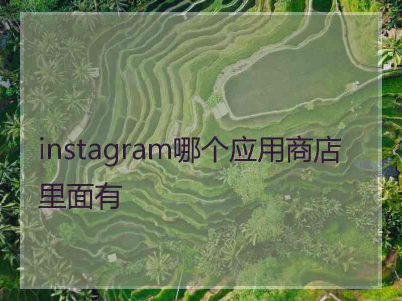 instagram哪个应用商店里面有