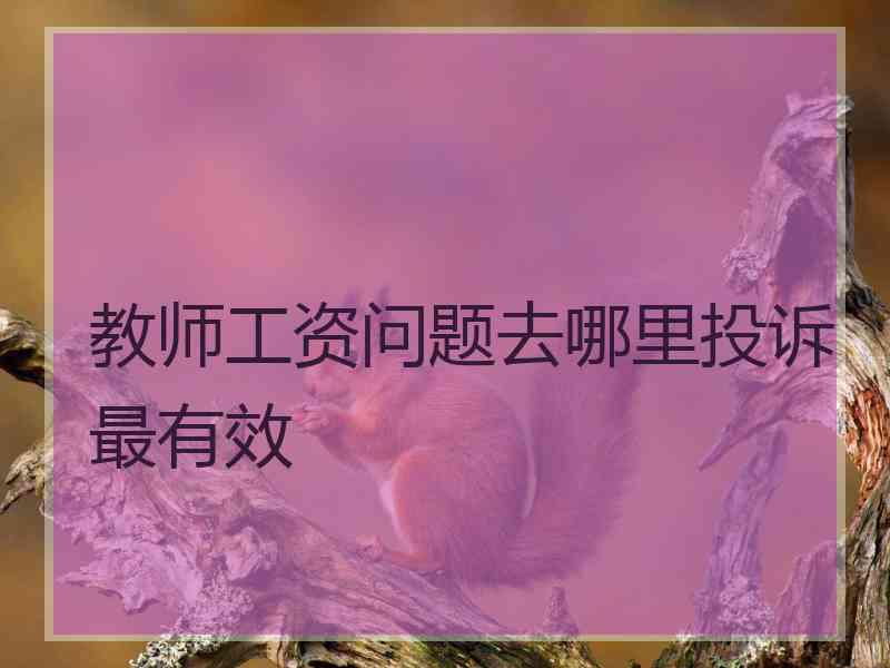 教师工资问题去哪里投诉最有效